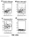 Fig. 95 - Methods and Devices for Detecting Diabetic Nephropathy and Associated Disorders