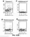 Fig. 96 - Methods and Devices for Detecting Diabetic Nephropathy and Associated Disorders