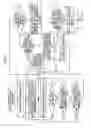 Fig. 09 - Motion detecting device, portable terminal device and motion detecting method