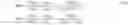 Fig. 06 - Gain compensated directional propagation measurements