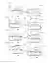 Fig. 09 - Image forming apparatus having a developer carrier that separates from a photosensitive member during sheet re-conveyance