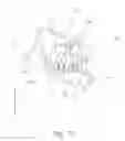 Fig. 20 - Process cartridge and image forming apparatus