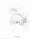 Fig. 22 - Process cartridge and image forming apparatus