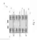 Fig. 02 - Programmable scalable voltage translator