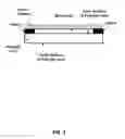 Fig. 04 - Systems and methods for touch sensors on polymer lenses