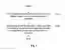 Fig. 02 - Information processing method and electronic device