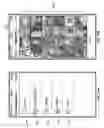 Fig. 15 - Systems and Methods for the Real-Time Modification of Videos and Images Within a Social Network Format