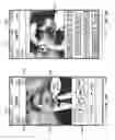 Fig. 20 - Systems and Methods for the Real-Time Modification of Videos and Images Within a Social Network Format