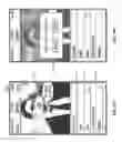 Fig. 21 - Systems and Methods for the Real-Time Modification of Videos and Images Within a Social Network Format