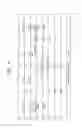 Fig. 09 - STORAGE DEVICE AND AN OPERATING METHOD OF THE STORAGE DEVICE
