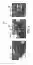 Fig. 08 - Extending data-driven detection to the prediction of object part locations