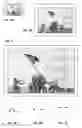 Fig. 02 - Screen watermarking methods and arrangements
