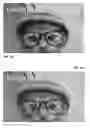 Fig. 04 - Screen watermarking methods and arrangements