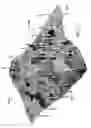 Fig. 07 - 360-degree core photo image integration and interpretation in a 3D petrophysical modeling environment