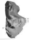 Fig. 08 - 360-degree core photo image integration and interpretation in a 3D petrophysical modeling environment