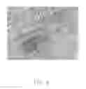 Fig. 07 - Epitaxial structure having nanotube film free of carbon nanotubes