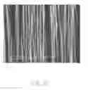 Fig. 09 - Epitaxial structure having nanotube film free of carbon nanotubes