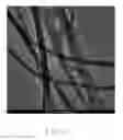 Fig. 14 - Epitaxial structure having nanotube film free of carbon nanotubes