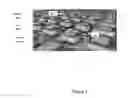 Fig. 05 - Radiation and temperature hard multi-pixel avalanche photodiodes