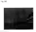 Fig. 08 - Light emitting device that includes protective film having uniform thickness