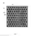 Fig. 07 - Method for forming thermoelectric element using electrolytic etching