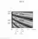 Fig. 07 - White organic light emitting device