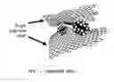 Fig. 02 - METHOD OF PREPARING GRAPHENE-GRAPHENE FUSED MATERIAL AND METHOD OF PREPARING GRAPHENE-SUBSTRATE COMPOSITE USING THE SAME