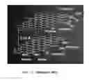 Fig. 03 - METHOD OF PREPARING GRAPHENE-GRAPHENE FUSED MATERIAL AND METHOD OF PREPARING GRAPHENE-SUBSTRATE COMPOSITE USING THE SAME