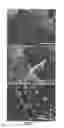 Fig. 08 - METHOD OF PREPARING GRAPHENE-GRAPHENE FUSED MATERIAL AND METHOD OF PREPARING GRAPHENE-SUBSTRATE COMPOSITE USING THE SAME