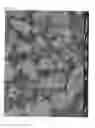Fig. 06 - SURFACE-MODIFIED SILICON NANOPARTICLES FOR NEGATIVE ELECTRODE ACTIVE MATERIAL, AND METHOD FOR MANUFACTURING SAME