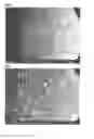 Fig. 02 - Coated nickel hydroxide powder for positive electrode active material for alkaline secondary battery, and production method therefor