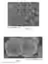 Fig. 03 - Hollow silicon structures for use as anode active materials in lithium-ion batteries