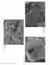 Fig. 04 - Hollow silicon structures for use as anode active materials in lithium-ion batteries