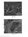 Fig. 07 - Hollow silicon structures for use as anode active materials in lithium-ion batteries