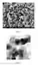 Fig. 03 - Lithium-intercalated titanium dioxide, lithium titanate particles made therefrom, and related methods