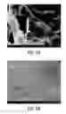 Fig. 12 - Polycrystalline vanadium oxide nanosheets