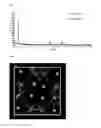 Fig. 03 - Electrode active material and lithium secondary battery comprising the same