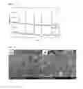 Fig. 02 - Method for preparing lithium iron phosphate nanopowder