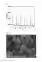 Fig. 06 - Method for preparing lithium iron phosphate nanopowder