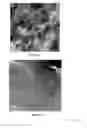 Fig. 09 - GRAPHENE QUANTUM DOT-CARBON MATERIAL COMPOSITES AND THEIR USE AS ELECTROCATALYSTS