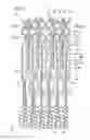 Fig. 03 - Fuel cell including separator comprising bypass limiting section