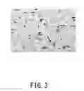 Fig. 04 - CONNECTOR TERMINAL AND MATERIAL FOR CONNECTOR TERMINAL