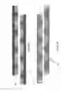 Fig. 07 - Power generator for a hydro turbine