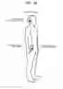 Fig. 41 - Field coupling electrode, communication device, and communication system