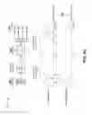 Fig. 11 - Configurable frequency domain equalizer for dispersion compensation of multiple sub-carriers