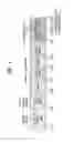 Fig. 02 - Method for transceiving signal in wireless communication system, and apparatus therefor