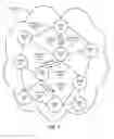 Fig. 02 - System and method for dynamic name configuration in content-centric networks