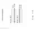 Fig. 15 - Demand accommodation changing order determination method