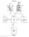 Fig. 02 - Validating biometrics without special purpose readers