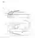 Fig. 02 - Image reading device and image forming apparatus